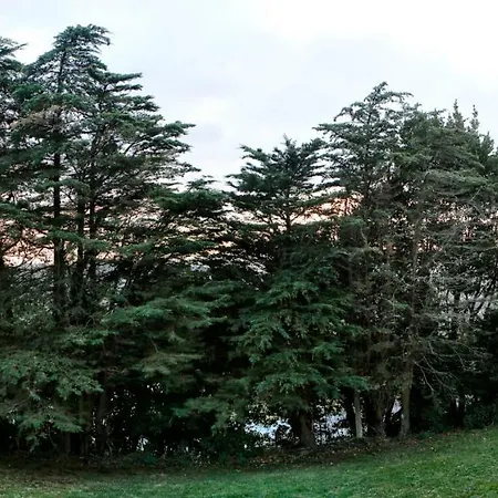 Pazo Da Riva - Casa Dos Arcos *
